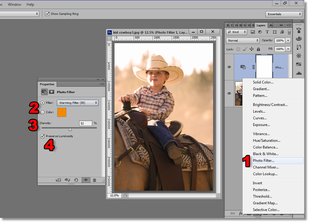 See how easy it is to tint an image in Photoshop.