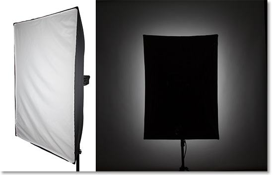 Flash with softbox or soft box creates this lighting pattern.