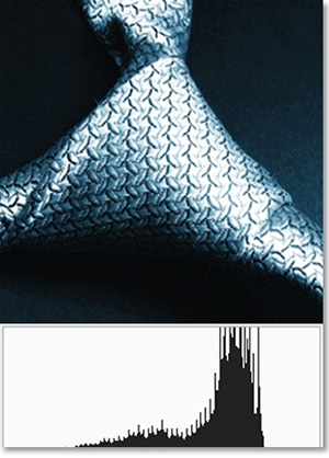 Histograms in Photoshop and Camera.